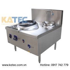 bếp á 2 họng egwr11c