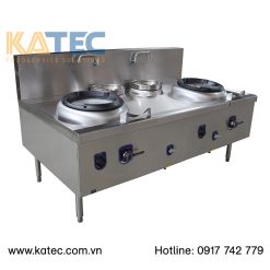 bếp á 2 họng egwr22b